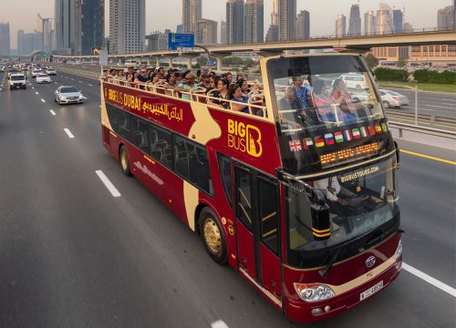 Big Bus (Hop-On, Hop-Off) 1 Day Tour - Various Locations