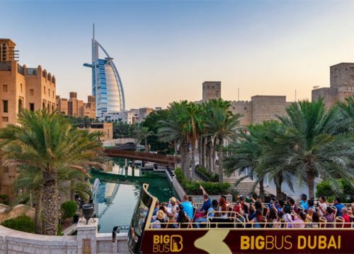 Big Bus (Hop-On, Hop-Off) 1 Day Tour - Various Locations