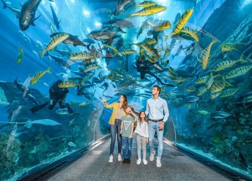 Underwater Zoo and Aquarium